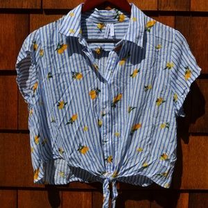 Striped Lemon Button Down T-Shirt